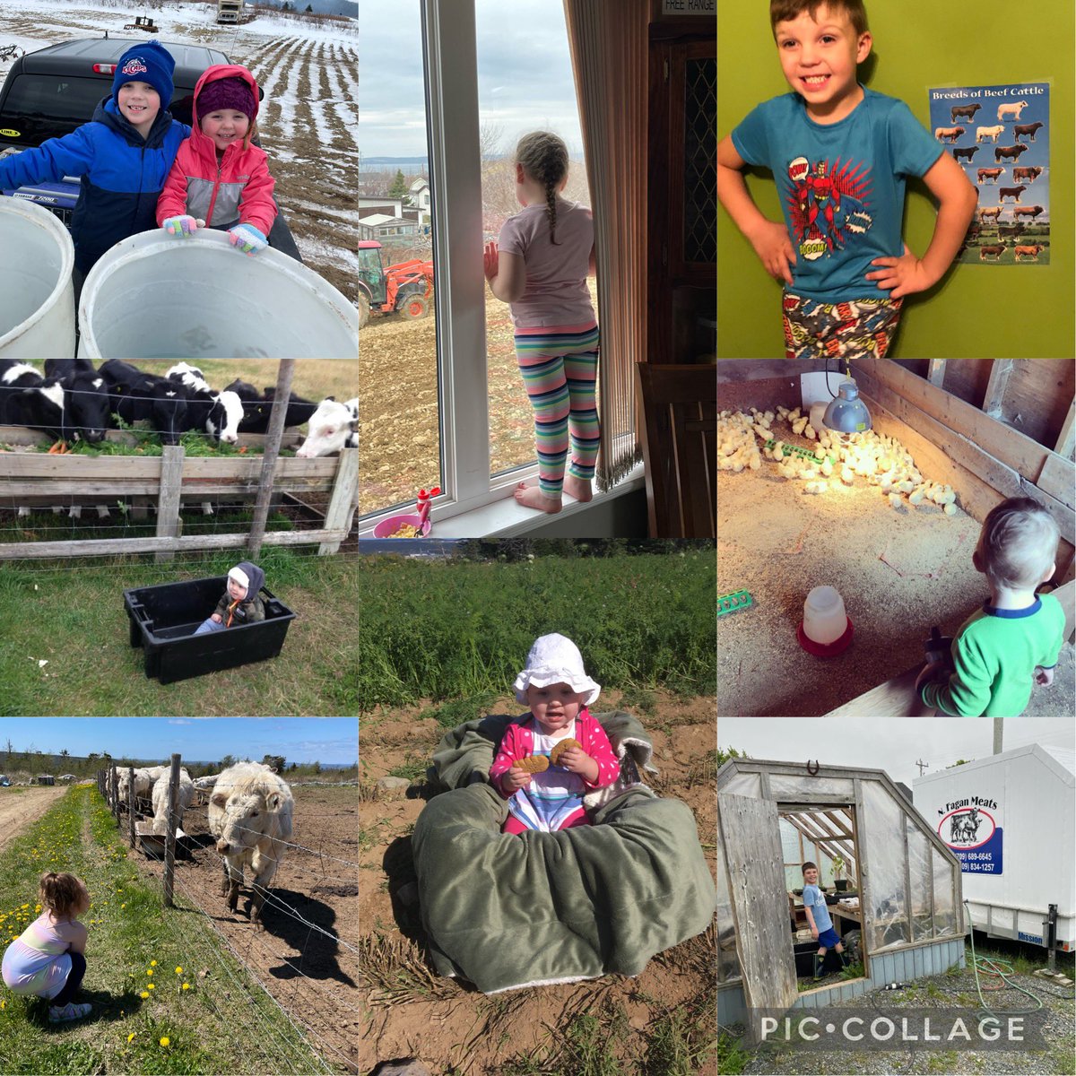 Happy Canada’s Agriculture Day 🐮🐷🥕🌽👩🏼‍🌾🧑🏼‍🌾
Daily we face loss, hardship, success and achievements. We love the peacefulness of spending time with animals, the rewarding feeling of great crop yields, and the passion we have for feeding people is unmatched.