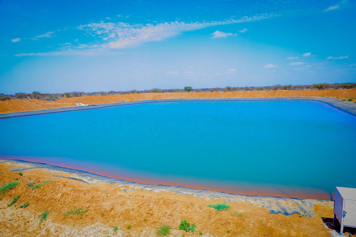 Nafisa Shirwac tweet media