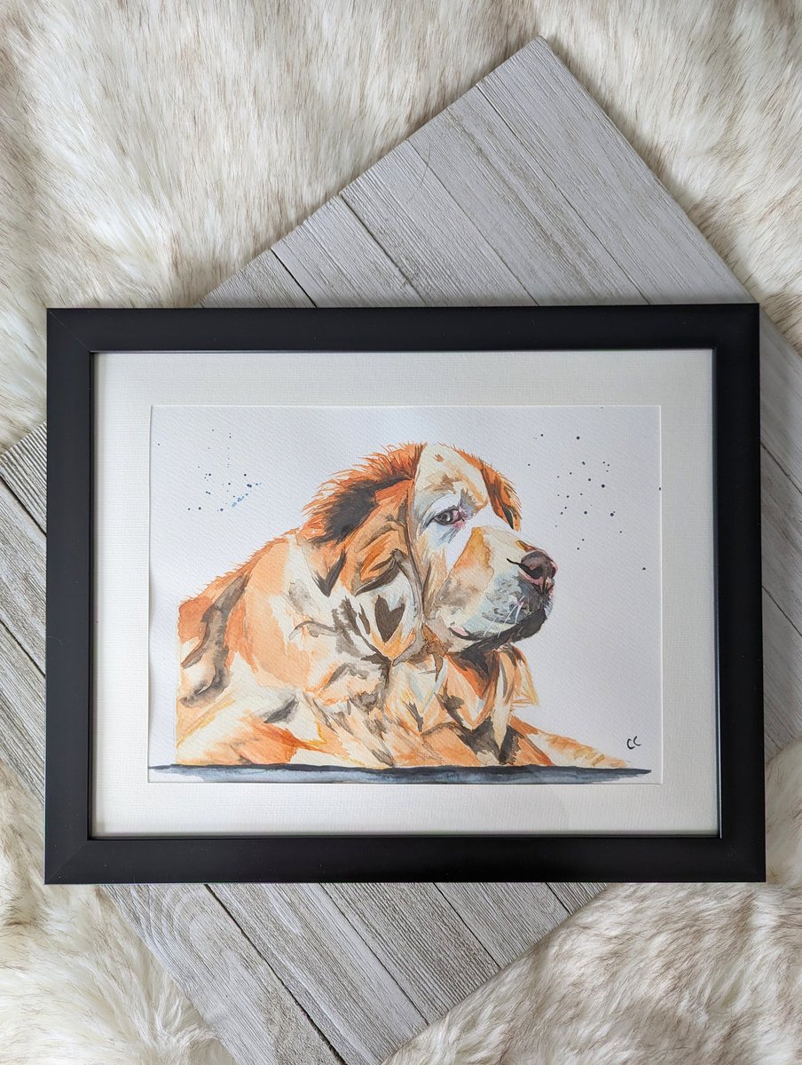 This babe is 14 % off in my Etsy shop! carolinechretienart.etsy.com
#carolinechretienart #watercolor #watercolordog #watercolorart #watercolorpainting #etsyseller