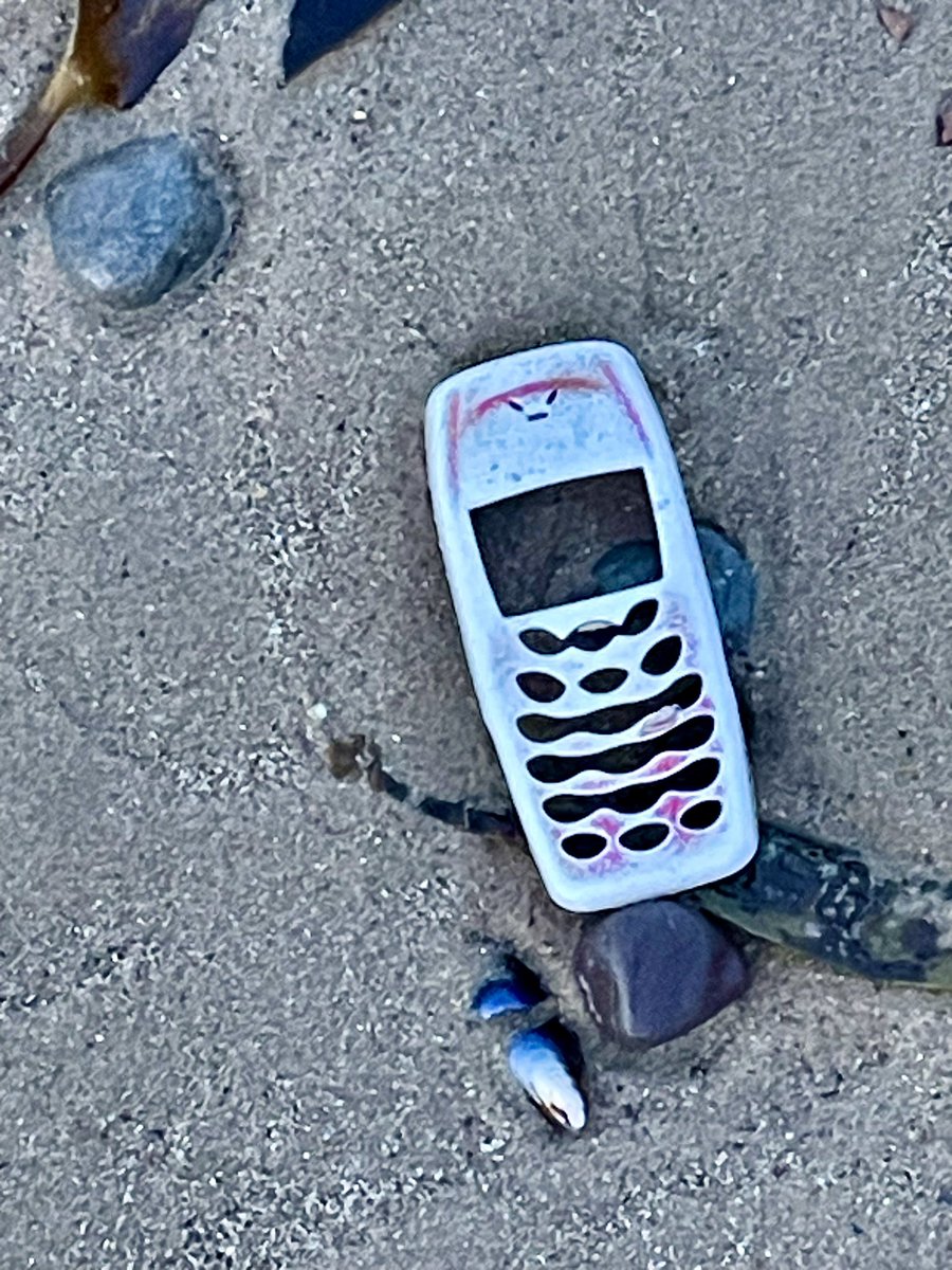 Listen … I’m no archaeologist, but I’m pretty sure this is a #Viking mobile 😮 #BeachFind 🏖️