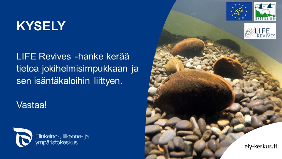 PirkanmaanELY's tweet photo. 👉 KYSELY 👈 Keräämme tietoa raakun eli jokihelmisimpukan ja sen isäntäkalojen merkityksestä ihmisille LIFE Revives -hankkeen kyselyllä.
🦪🐟 Näin saamme arvokasta tietoa raakuista ja lohikaloista. Vastaa ➡️ https://t.co/rhHA29GSDn 

#LIFErevives #raakku #jokihelmisimpukka https://t.co/fQfqm5kp0s