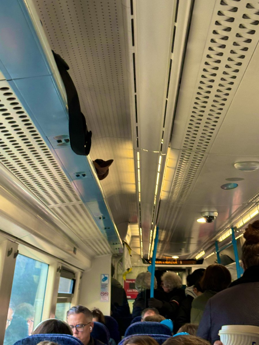al3xjw's tweet photo. Midday train (11:49) when services are normally quietest @SteveWhiteRail - people standing from #Hildenborough, before it even stopped at #sevenaoks & #orpington. Dangerous overcrowding. When will more services be reinstated @Se_Railway @networkrail @TonLinCommuters @SkyNews https://t.co/lfCfaZTm7s