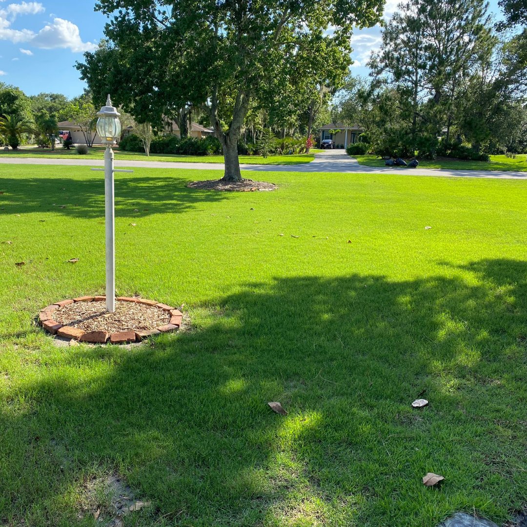 Swipe to witness the incredible transformation of this SodPods® project! 🌱✨ 
The ending is sure to amaze you! 

#SodPods #LawnTransformation #lawn #lawncare #lawnmaintenance #lawnproject #landscaping #yard #lawncare101 #grass