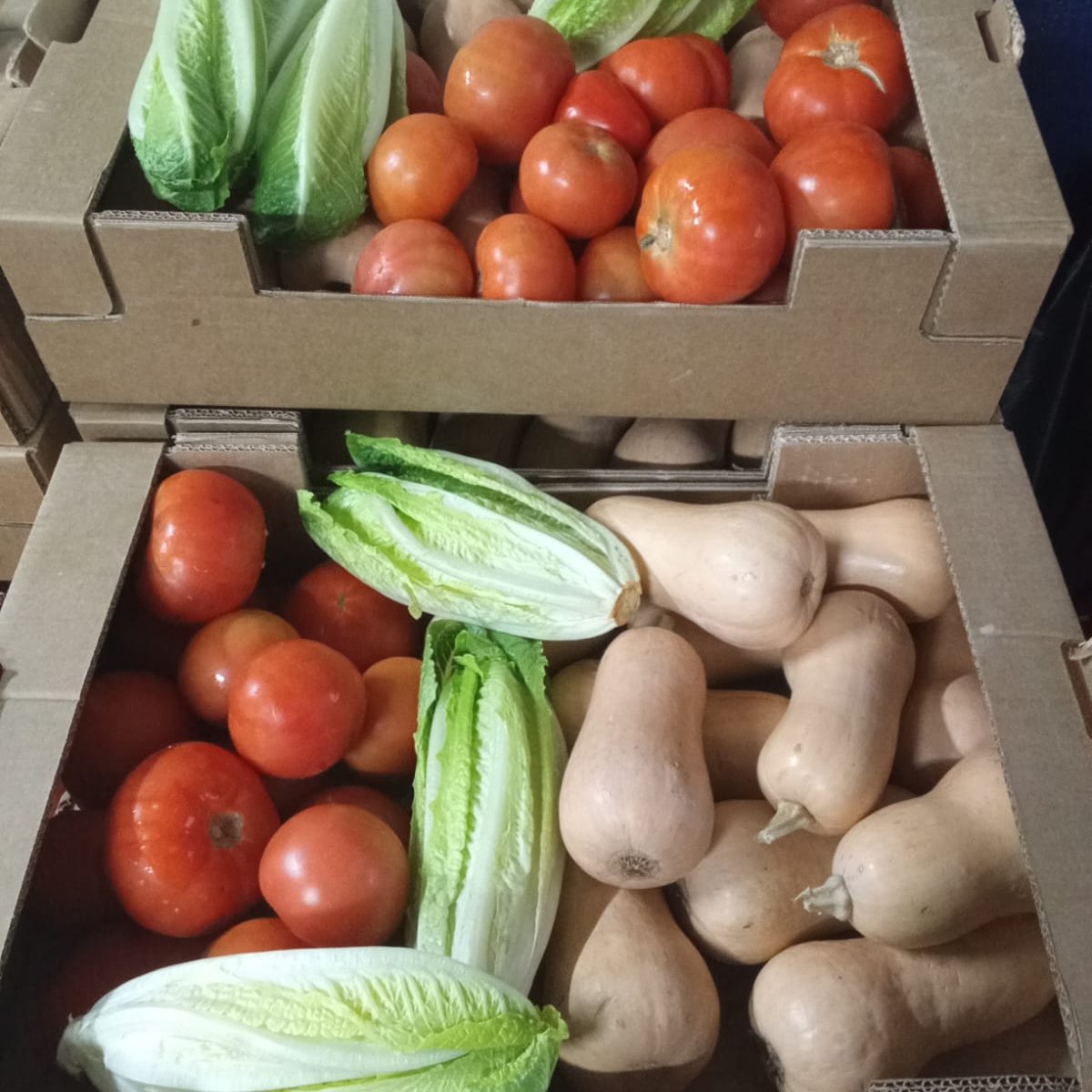 asociacionnaim's tweet photo. Esta semana continuamos con el reparto, como entidad OAR, del Programa Estatal de Ayuda Alimentaria a las Personas más Desfavorecidas a través del #FEGA @MalagaDDSS;complementado con verduras y hortalizas procedentes del #FEAGA distribuidos a través de #ASAEC. https://t.co/ry9ajDUxib