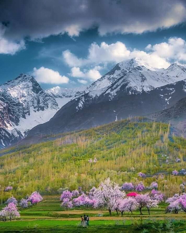 Chunda Valley, Skardu
Contact us for customized trekking, expedition and tours in Pakistan.
#ChundaValley #skarduexpedition #LaCasaDeLosFamosos #Pakistan