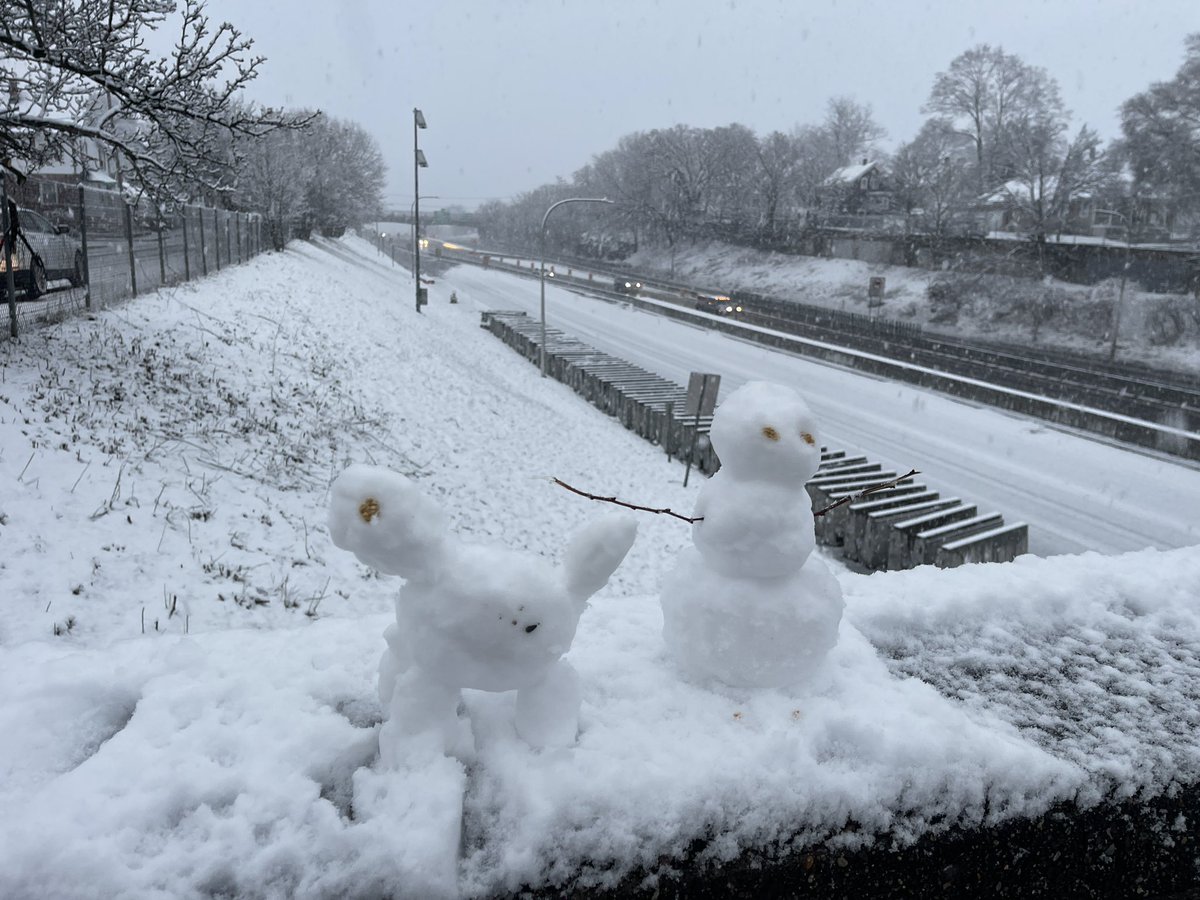 ⛄️ Meet Fred (the snowman) and his trusty Dog/turtle/alien looking thing? His name is Blizzard! 🌨️ these two will be helping me with Storm coverage today #401wx You got to have a little fun in the snow right?! @thatnewslife #providence #ri #WinterWeather