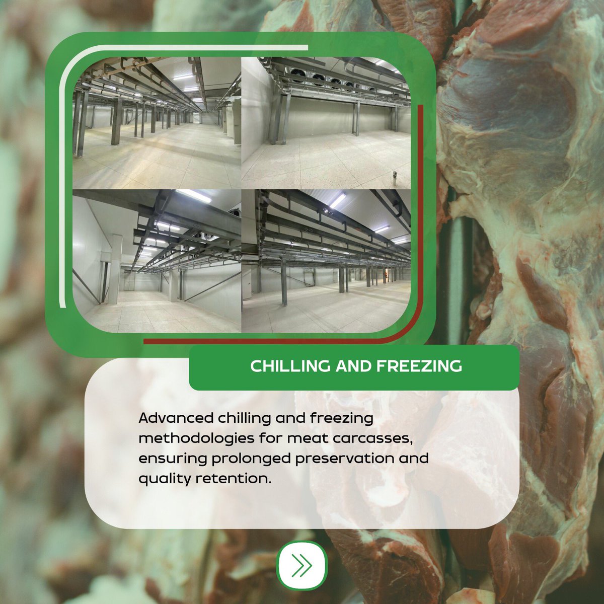unionmeatgroup's tweet image. Indulge in perfection from processing to presentation with Union Meat Group's Processing and Packaging services. Our meticulous approach includes expert chilling and freezing techniques, preserving freshness and flavor.
#UnionMeatGroup #UnionMeatAbattoir #ProcessingAndPackaging