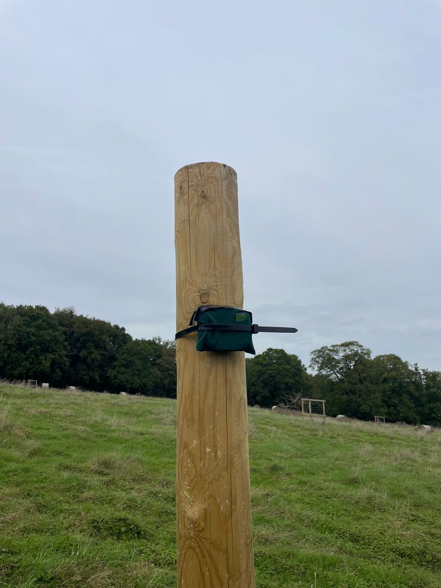 Join our team! We're seeking a Field Assistant for bioacoustics monitoring across our three sites in Oxfordshire. Gain hands-on experience programming &amp; installing audiomoths. Send me a DM before 26th Feb to be considered. <a href="/BiodivOxford/">Biodiversity Network At The University of Oxford</a> <a href="/NatureRecovery/">Leverhulme Centre for Nature Recovery</a> 

naturerecovery.ox.ac.uk/projects/the-r…