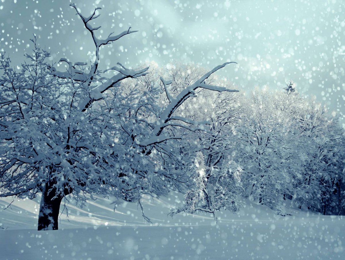 so_library's tweet photo. Due to weather conditions, the library will be closed on Tuesday, Feb. 13. https://t.co/9OAg63r3Vn