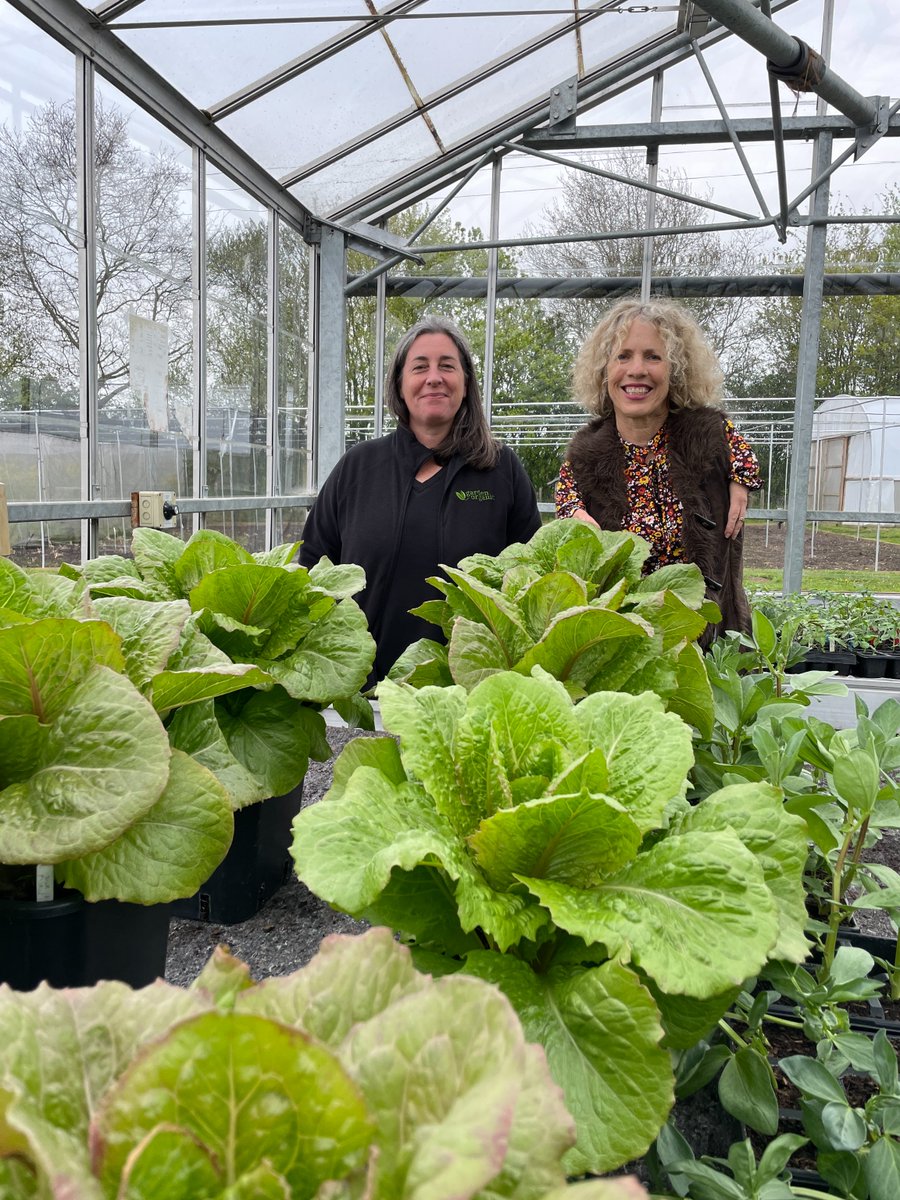 We're very excited to be featured on <a href="/GWandShows/">BBC Gardeners World</a> this Friday 16 February on BBC Two at 9.30pm, as part of a special 'Compilations 2024' episode with <a href="/suekentathome/">Sue Kent</a>. 

Find out more 👉 gardenorganic.org.uk/news/garden-or… 

#gardenersworld #heritageveg #gardenorganic #heritageseedlibrary