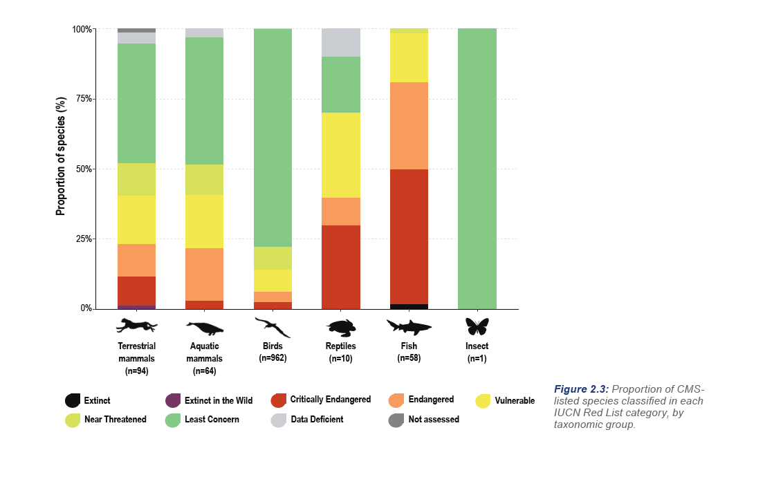 The State of the World's Migratory Species Report by <a href="/BonnConvention/">Convention on Migratory Species (CMS)</a> is available! 📢

It reveals that the populations of nearly half of all CMS-listed species are declining, despite their protected status. 🌏 🐋

Access the full report⬇️

#CMSCOP14
cms.int/en/news/landma…