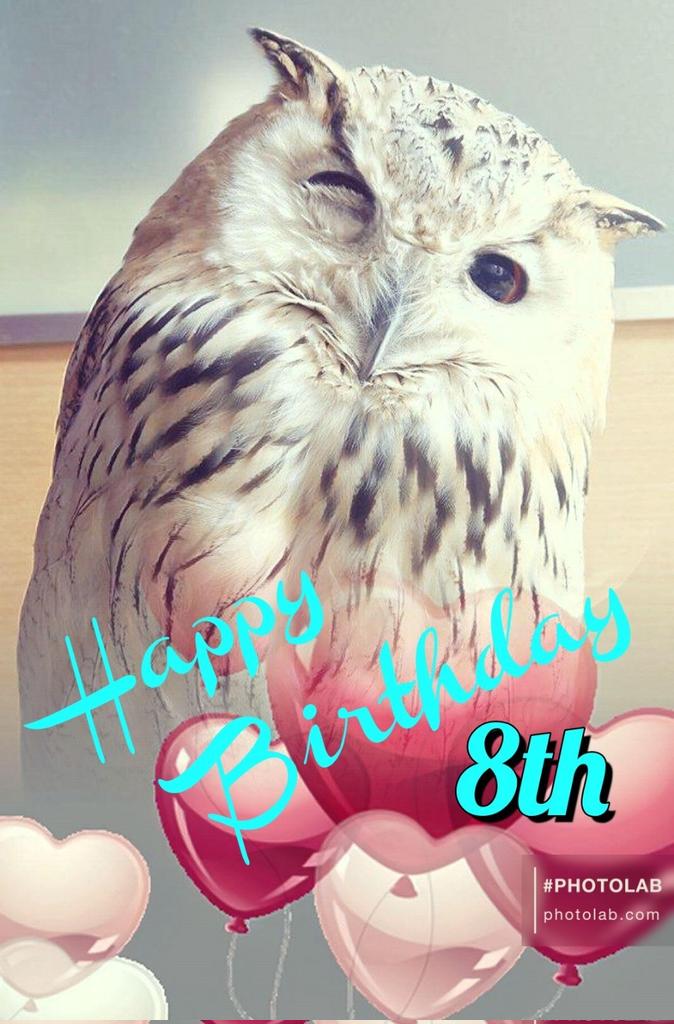 ㊗️2月13日   KAIQUE  8th  
❤︎ 𝐇𝐀𝐏𝐏𝐘 𝐁𝐈𝐑𝐓𝐇𝐃𝐀𝐘 ❤︎

おめでとう！✨   ( *´﹀`* )♡♡♡

#ｼﾍﾞﾘｱﾜｼﾐﾐｽﾞｸ #ﾌｸﾛｳ #owl