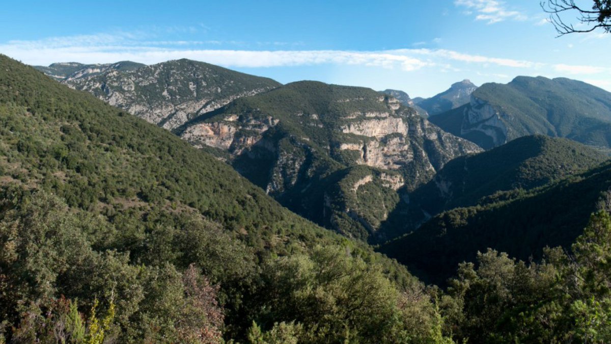 Josep Maria Mallarach tweet media