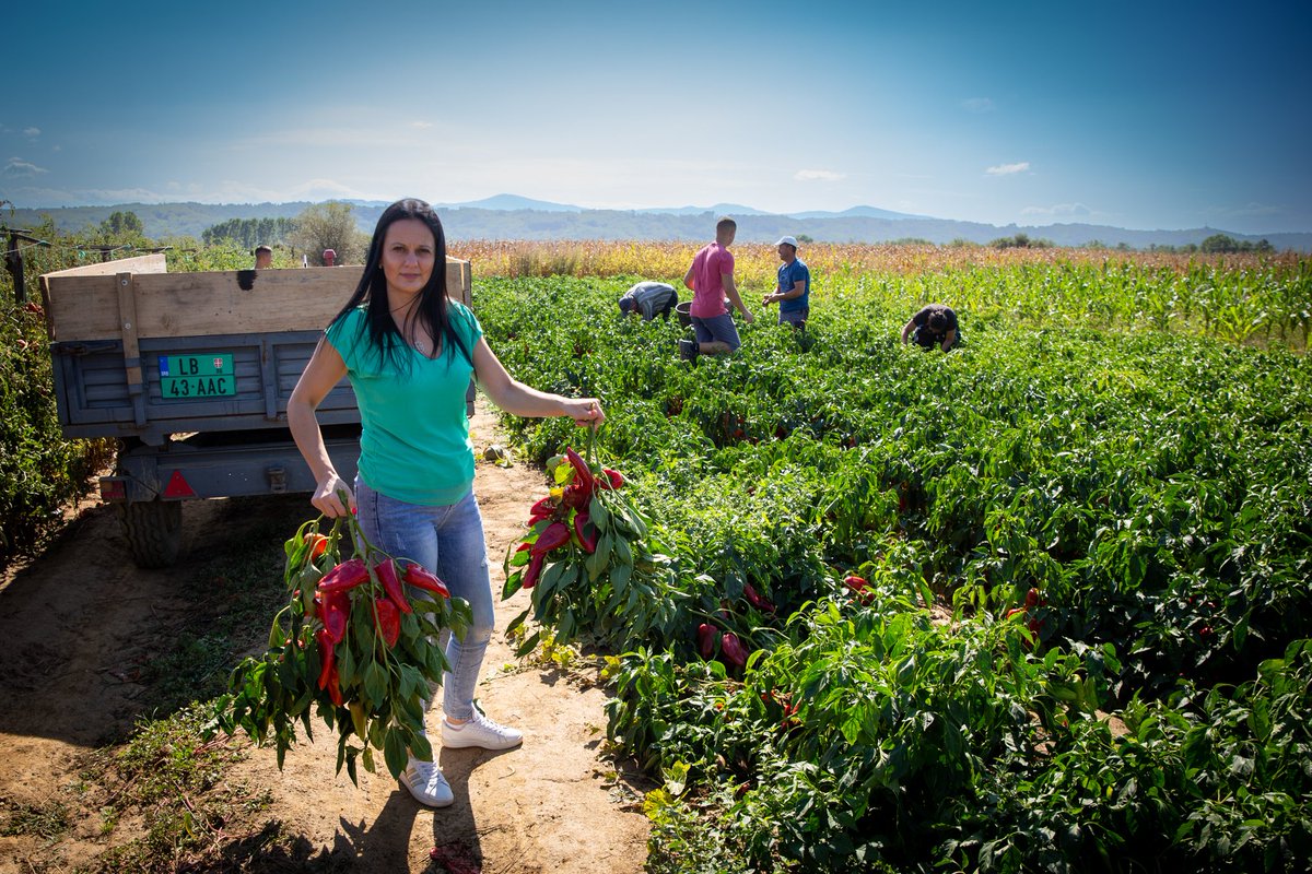 🇷🇸🇪🇺In #Serbia, we support the #EU Green programmes which empower female entrepreneurs to launch their businesses. Learn how Jelena Miletić transformed food waste into a green project with bio-soaps & masks, creating jobs and fighting climate change!♻️ 👉bit.ly/3wdGZTv