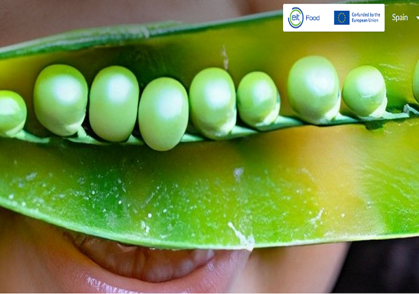 Sostenible_UV's tweet photo. T'interessa la innovació? Vols aprendre totes les fases del disseny d'un nou producte alimentós directament d'empreses europees de primer nivell?
Sol·licita participar en el concurs d'idees  PEALICIOUS, 
https://t.co/whDuYn6FX8 https://t.co/y8Is2Of6Vg