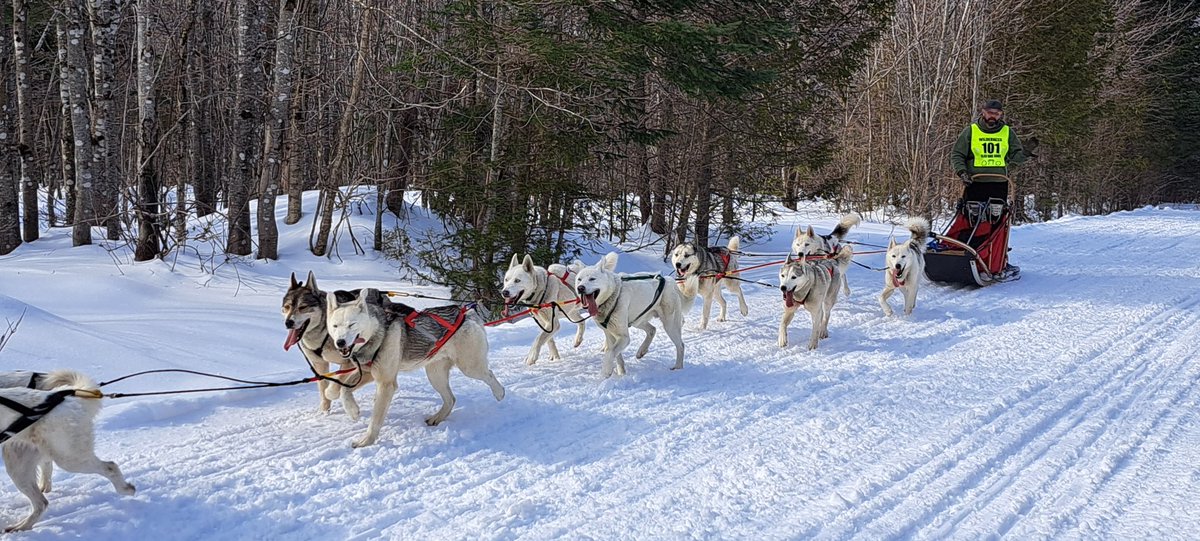 vagabondway's tweet image. Exciting weekend in the woods - the annual Wilderness Sled Dog Race happened! Very cool to see. 🐕 
@AppMtnClub #Maine #mainething #mainethewaylofshouldbe #wintervibes
