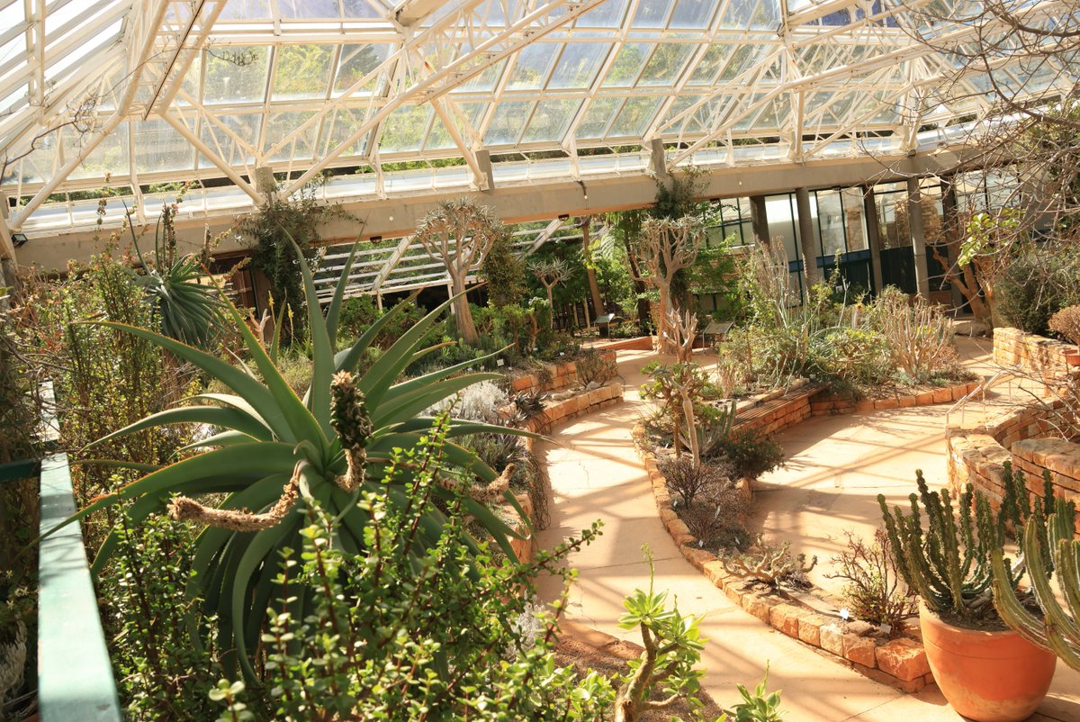 Did you know that there is a Glass house (The Conservatory) at Kirstenbosch National Botanical Garden ?

For more information visit: sanbi.org/.../botanical-…

#KirstenboschNBG #biodiversity #sanbi4life