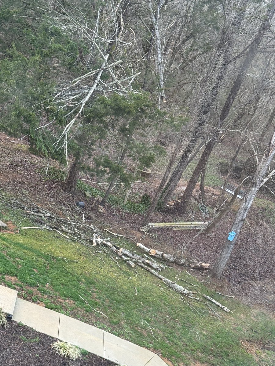 CEtheridgeWX's tweet photo. Large tree branch fell
#traidwx https://t.co/yKp2qBYKfE
