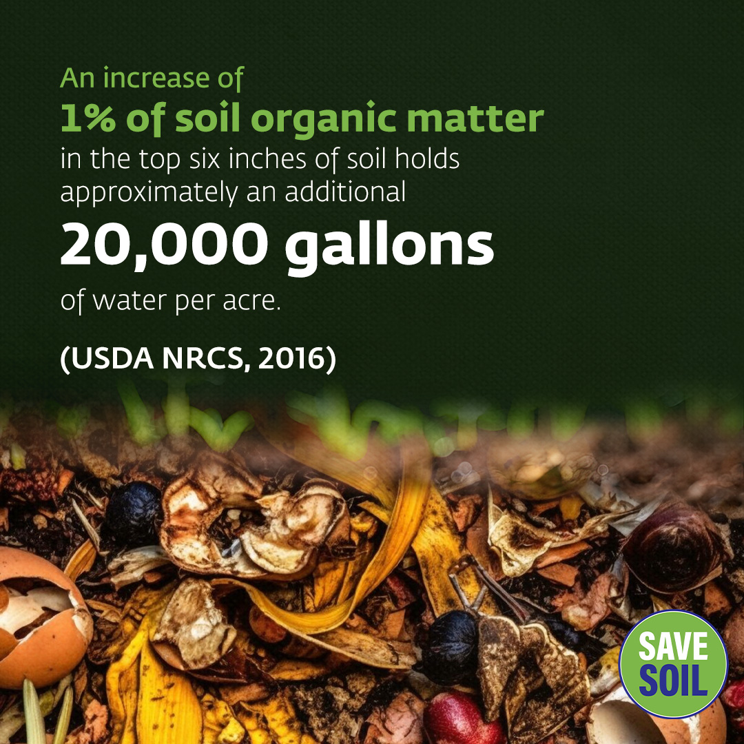 Healthy soil has an amazing water-retention capacity 💧. As soil becomes richer in organic content, it becomes able to absorb more water, helping to prevent flash floods and storing water for the dry season. 🌊🌾

Action now: savesoil.org
#SaveSoil #ConsciousPlanet