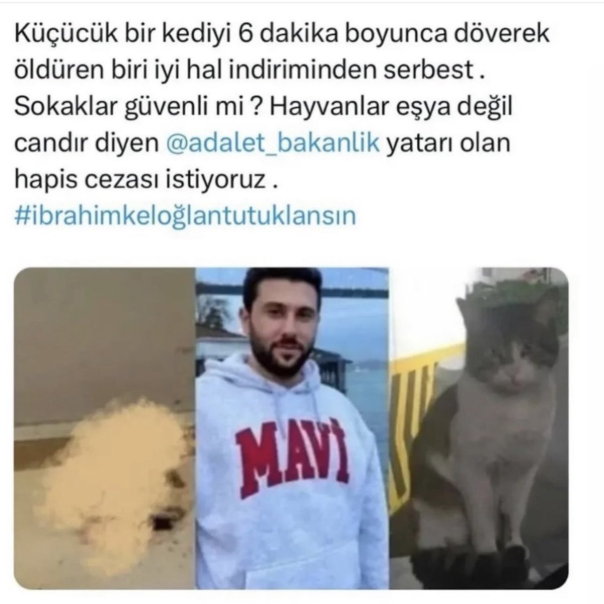 İyi halden salınmak nedir? Sinirlerim zıpladı sabah sabah. Lütfen paylaşın, maselef ülkede tartışmalı yargı kararları ancak kamuoyu oluştuğunda değişiyor! #ibrahimkeloğlantutuklansin hemen!