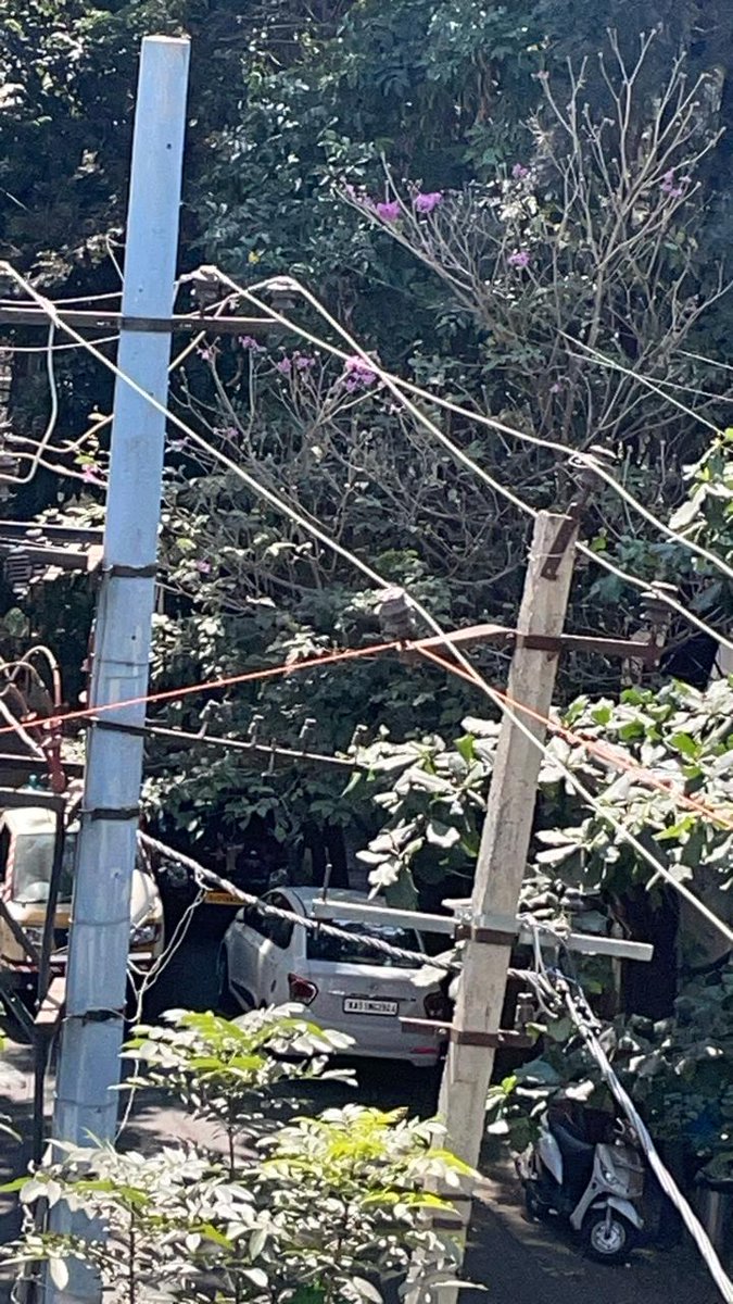 Concerned about the safety risks! An orange internet cable installed on a 11KVA high tension power line 😱 Who authorized this? 🤔  #SafetyFirst #HighTensionRisk #InternetCable #WhoAuthorized #AccountabilityNeeded