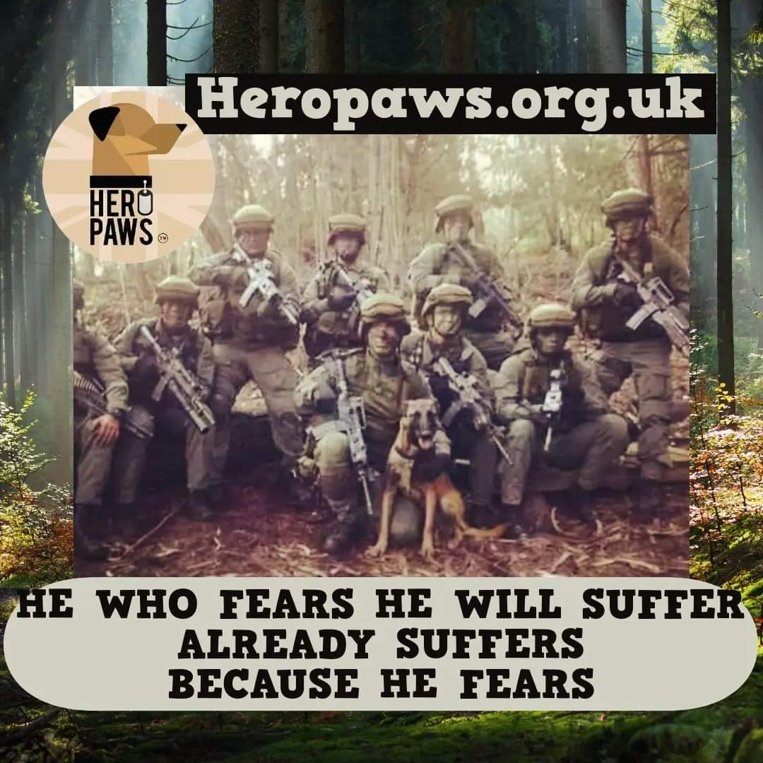 Be the best version of yourself you can be and never let fear stand in the way of what you believe in💪

There's much going on that is amazing yet daunting. It's funny how you work so hard for something that when it materialises, fear sneaks in.

Sod the fear, let's do this 🐾👣