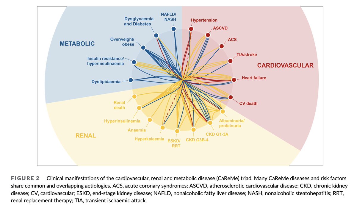 Our review on Inter-relationship between cardiovascular, renal and metabolic diseases …ubs.pericles-prod.literatumonline.com/doi/10.1111/do… With Jiten Vora @drnkan & @MkosiborodMD