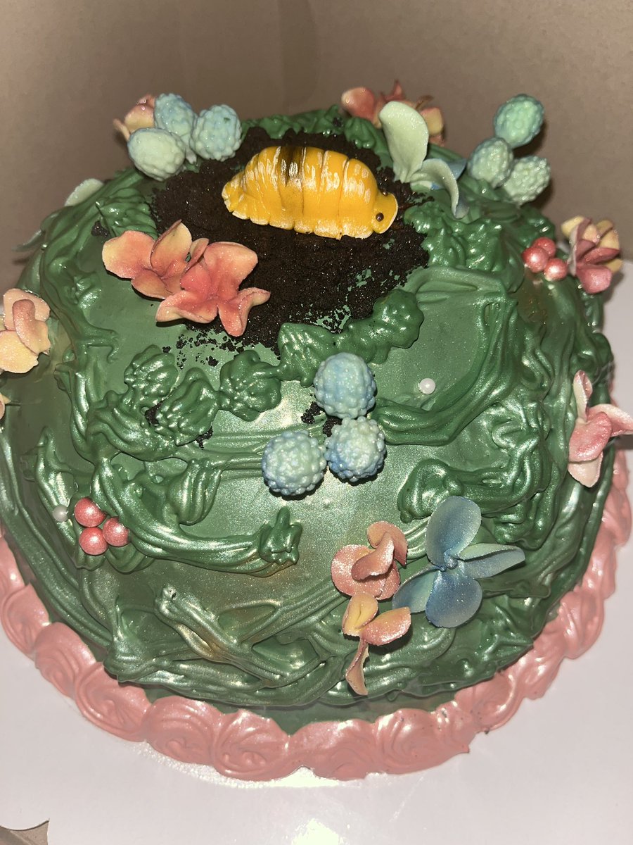 「my birthday cake is literally prettier t」|🌙clayi🐰のイラスト