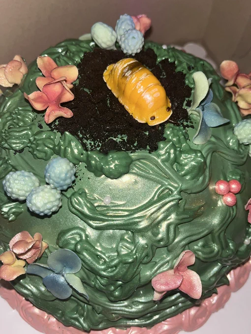 my birthday cake is literally prettier than u 