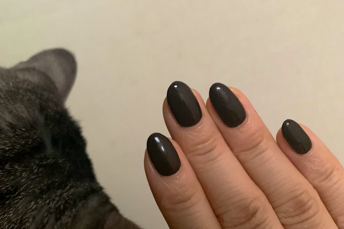 nyan2kt's tweet photo. バレンタインも近いのでネイルをチョコレート色にしてみました💅
なんかみんなやってる性格診断？みたいなの今更ですがやりました🫥
わたしは内向的らしいです
呪術廻戦の脱出ゲーム行きました🔥
いつ行っても新宿はこわいです
ゲームやる時間はあんまないけどたのしく生きてます🍀 https://t.co/T771ewcacZ
