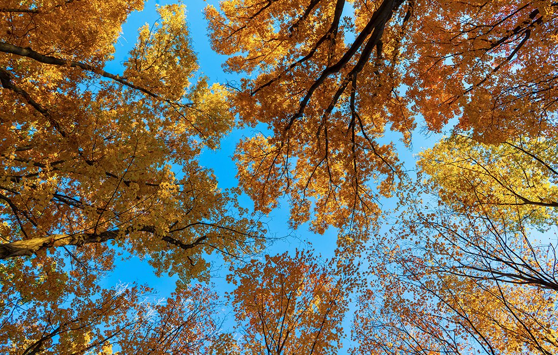 [DÉVELOPPEMENT DURABLE] 🌳 

Étudiants en M1 ou M2, envie de vous former avec un programme pionnier ?  

Découvrez notre formation "Shift Year" : centralesupelec.fr/fr/shift-year

Contact, questions : <a href="/Metz_CS/">CentraleSupélec campus de Metz</a>