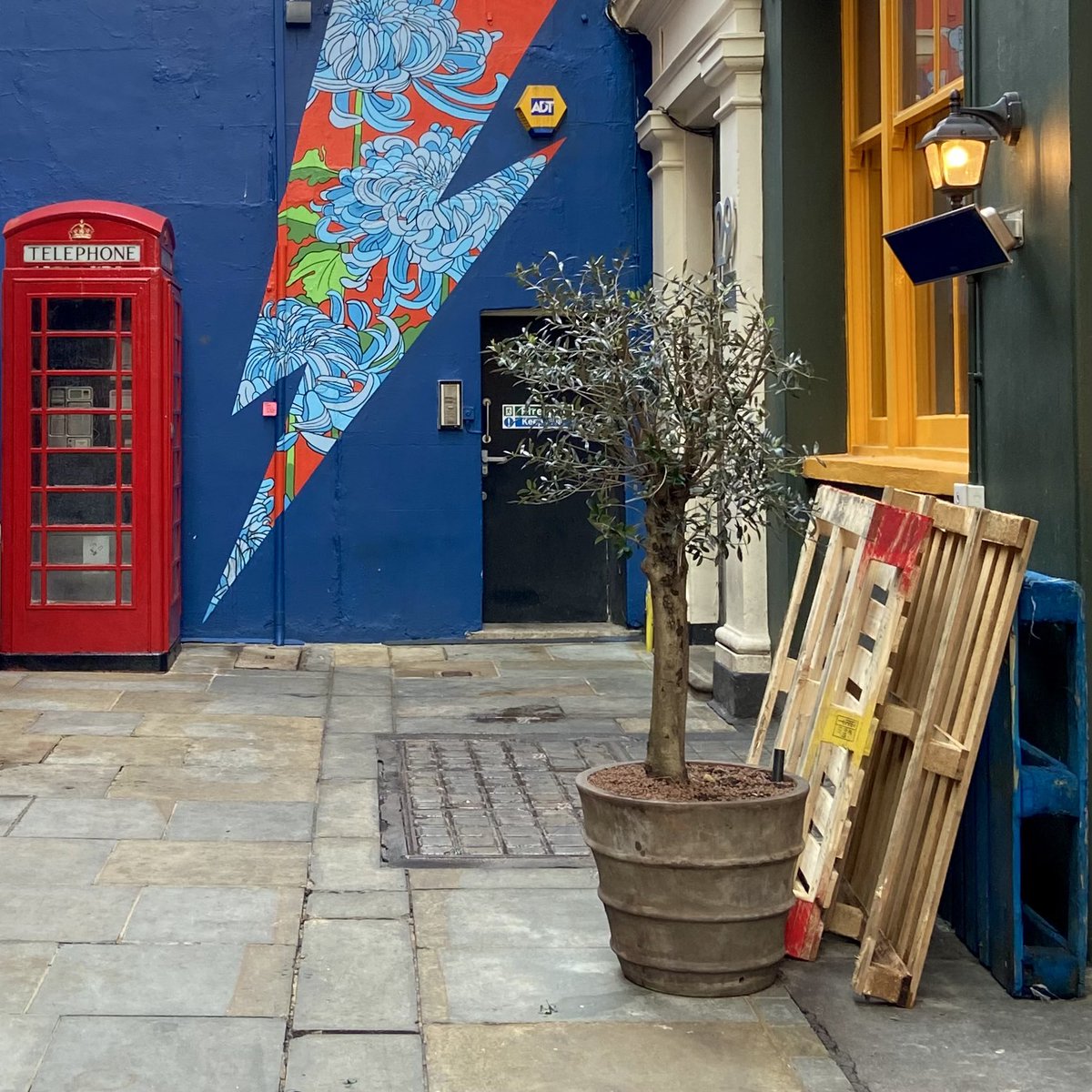 Susi Raymakers tweet media