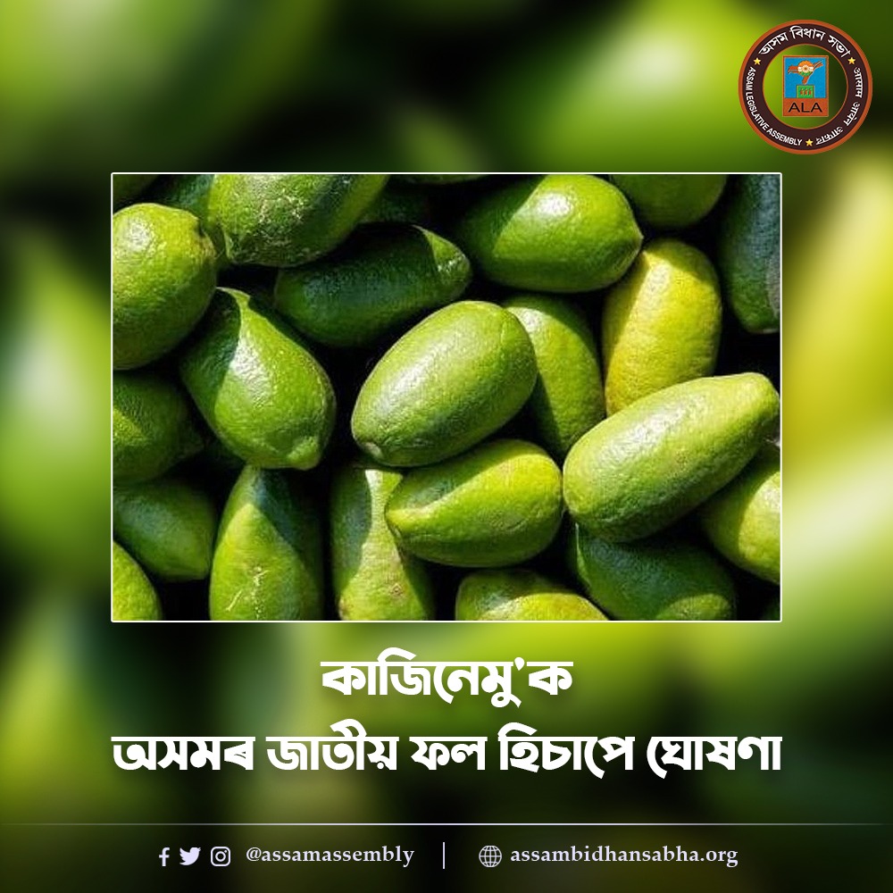 AssamAssembly's tweet photo. āĻ
āϏāĻŽā§° āĻŦāĻŋāĻāĻŋāύā§āύ āĻ
āĻā§āĻāϞāϤ āĻā§āĻĒāĻžāĻĻāĻŋāϤ āĻ⧰⧠⧍ā§Ļ⧧⧝ āĻāύāϤ āĻā§āĻā§āϞāĻŋāĻ āϏā§āĻŦā§āĻā§āϤāĻŋ āϞāĻžāĻ āĻā§°āĻž āĻāĻžāĻāĻŋ āύā§āĻŽā§āĻ āĻāĻāĻŋ āĻŦāĻŋāϧāĻžāύ āϏāĻāĻžā§° āĻŦāĻžāĻā§āĻ āĻ
āϧāĻŋā§ąā§āĻļāύāϤ āĻāĻžāϤā§āϝāĻŧ āĻĢāϞ āĻšāĻŋāĻāĻžāĻĒā§ āĻā§āώāĻŖāĻž āĻā§°āĻž āĻšāϝāĻŧāĨ¤ āĻĻā§āύāύā§āĻĻāĻŋāύ āĻā§ā§ąāύāϤ āϏāĻāϞā§ā§°ā§ āĻāĻžāĻĻā§āϝ āϤāĻžāϞāĻŋāĻāĻžāϤ āĻ
āύā§āϤ⧰ā§āĻā§āĻā§āϤ āĻāĻžāĻāĻŋ āύā§āĻŽā§ā§° āĻŦā§āĻā§āĻāĻžāύāĻŋāĻ āύāĻžāĻŽÂ Citrus limon
.
.
#assamlegislativeassembly #citruslimon #statefruit https://t.co/Fz8CjtKOGF