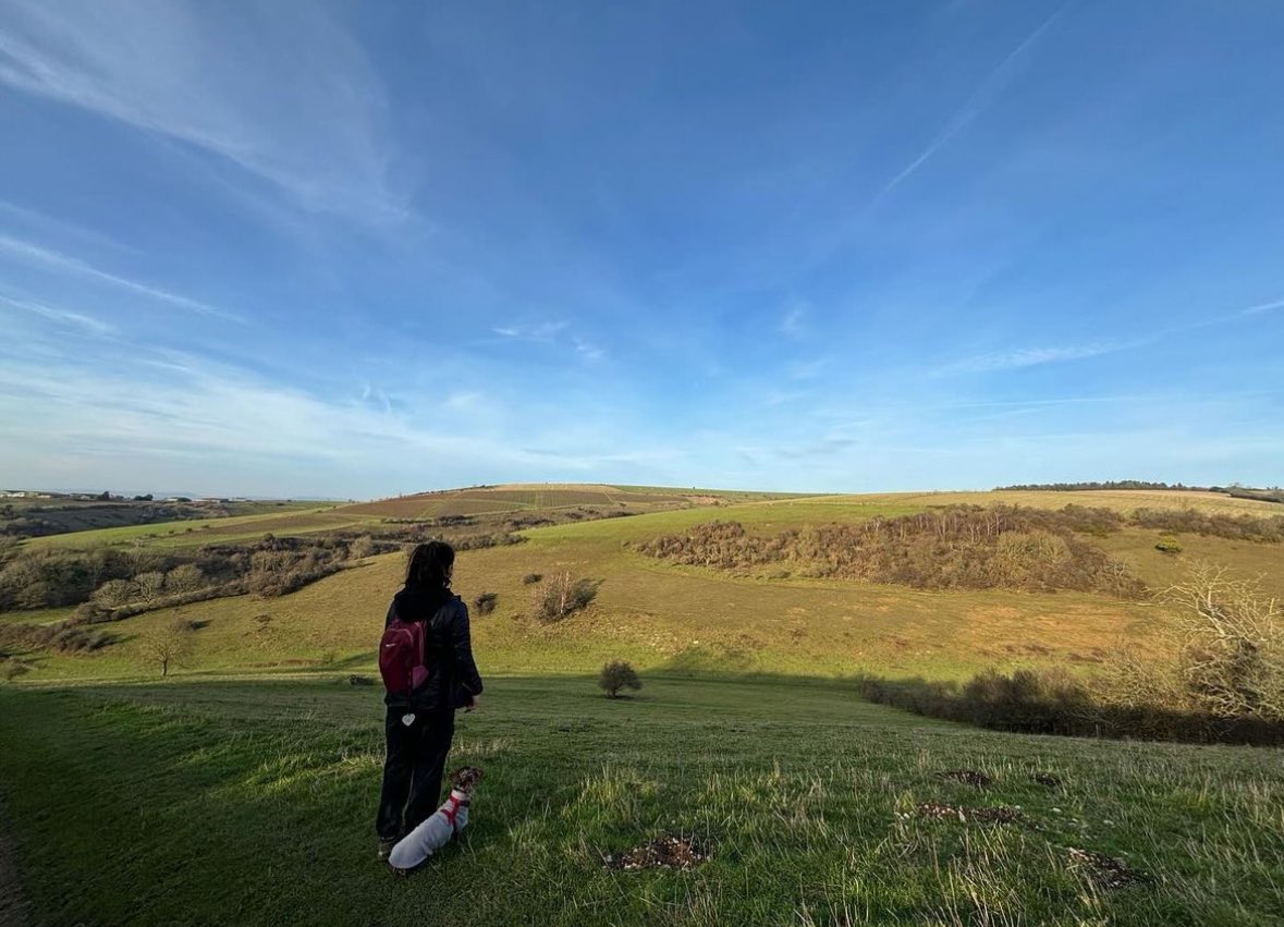 Ethan Taylor tweet media