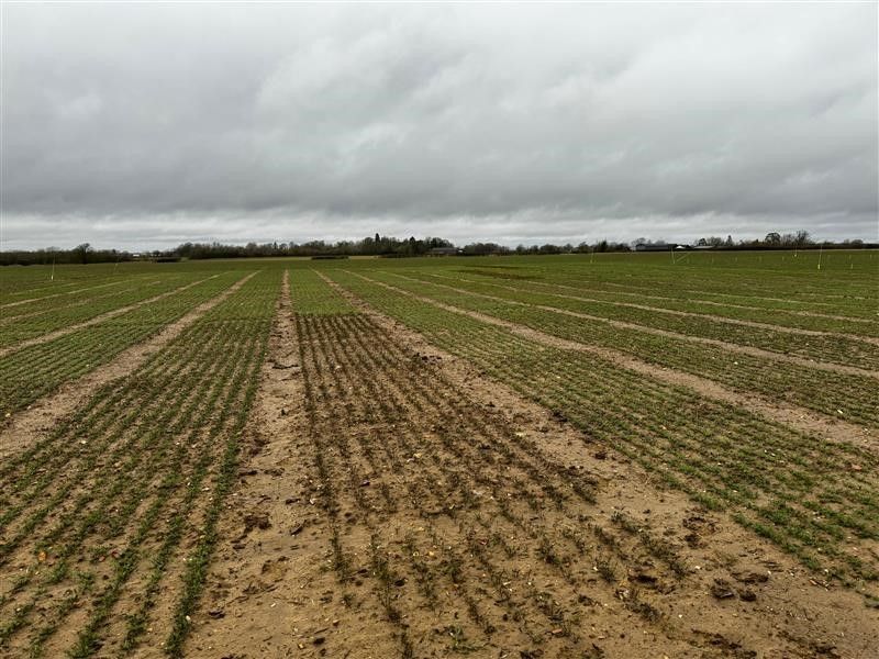 Premium Crops tweet media