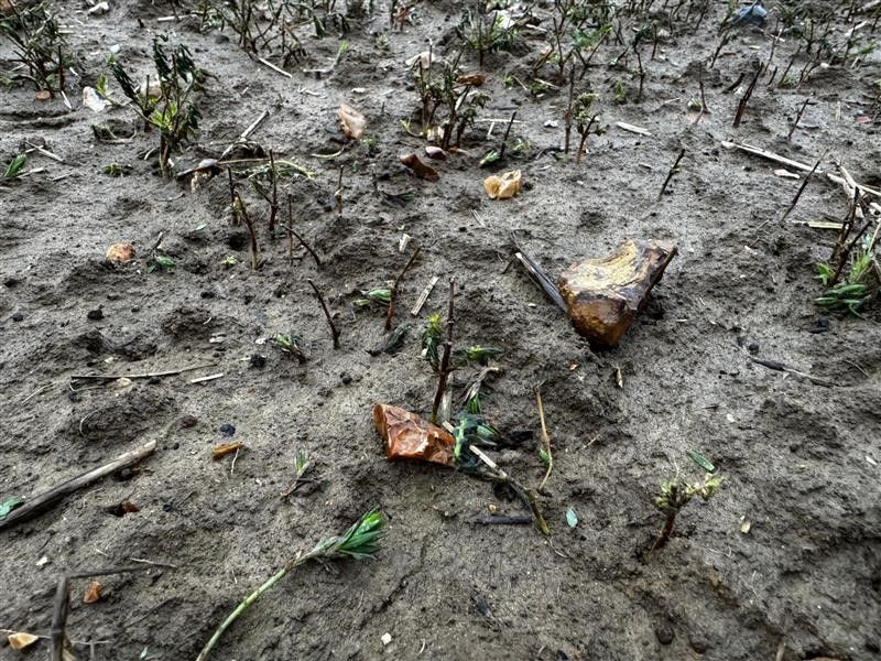 Premium Crops tweet media