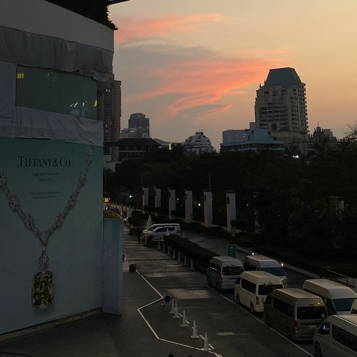 aplasticd's tweet image. feb