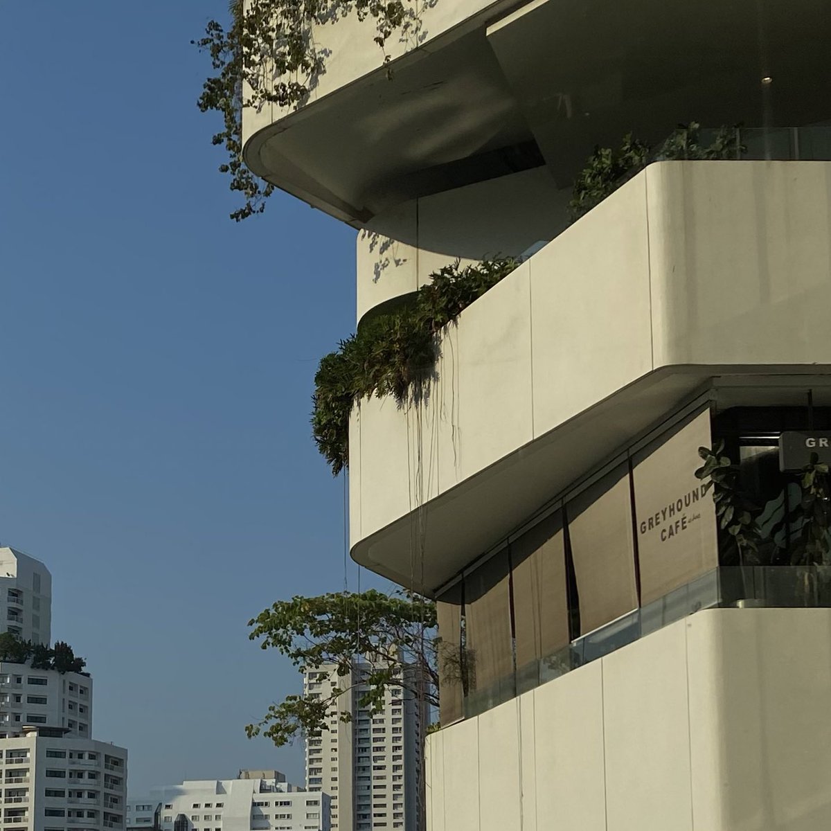 aplasticd's tweet image. feb