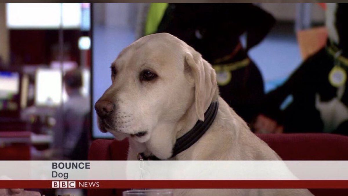 Eight years ago today since BBC News had its best ever guest.