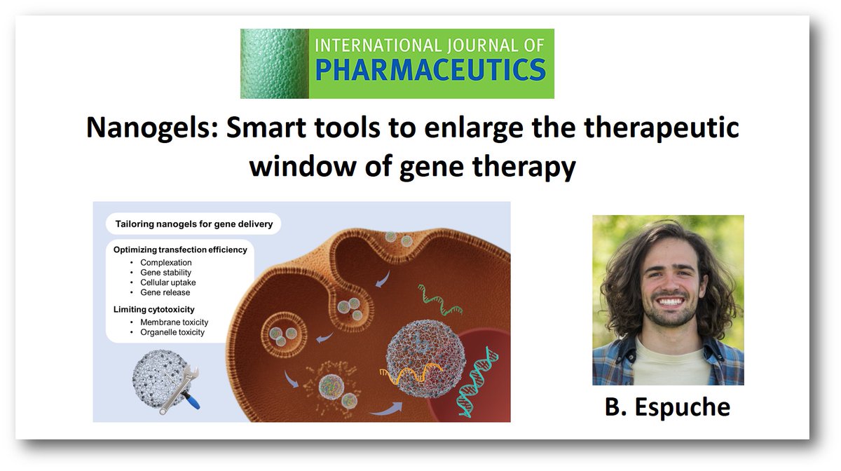 It makes me happy to announce our latest publication by Bruno Espuche, who will defend his PhD thesis on the coming Friday. It is about nanogels for gene delivery. Dont miss the read!! @CICbiomaGUNE @POLYMAT_BERC @Ikerbasque @ehu_kimika Link: doi.org/10.1016/j.ijph…
