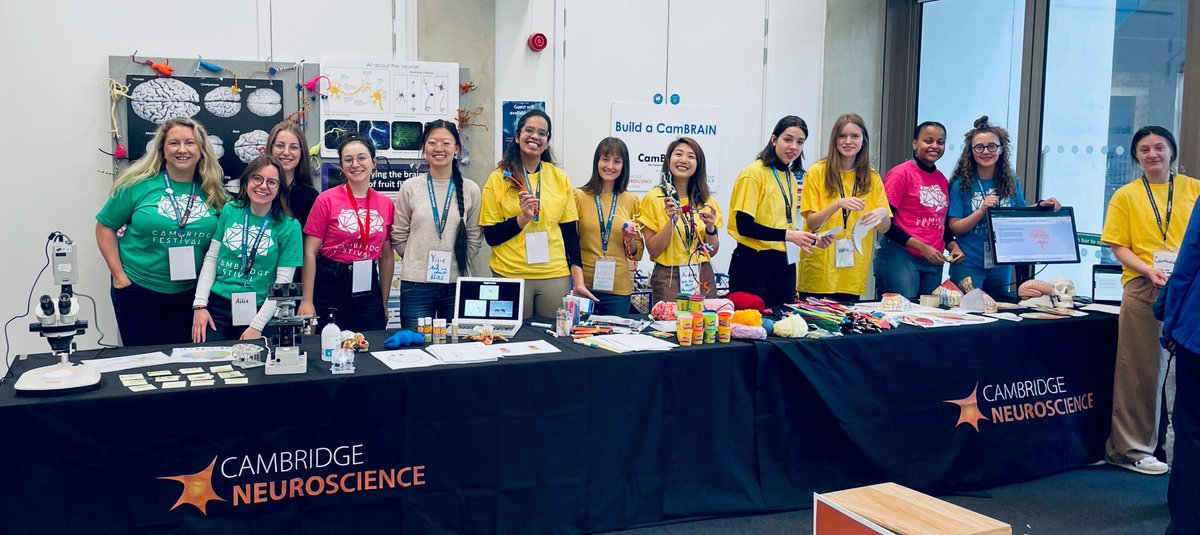 So much 🧠 activity happening @Cambridge_Fest - including our @CamBrainCNS Build a CamBRAIN - here is a rundown neuroscience.cam.ac.uk/event-posts/ca… The full #CamFest programme (and bookings) can now be viewed on the website: bit.ly/3bQt5ck 📸 Build a CamBRAIN 2023!