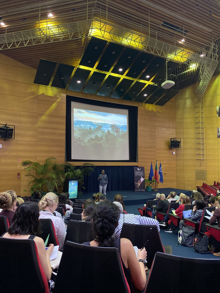 P Orozco-terWengel (@orozcoterwengel) on Twitter photo Staring the talks at the <a href="/soctropecol/">@Tropical Ecology</a> conference. Interesting keynote talks (Ricardo Rocha) and several sessions in parallel from the role of dogs n ecology to multitrophic interactions in tropical forests. Staring the talks at the <a href="/soctropecol/">@Tropical Ecology</a> conference. Interesting keynote talks (Ricardo Rocha) and several sessions in parallel from the role of dogs n ecology to multitrophic interactions in tropical forests.