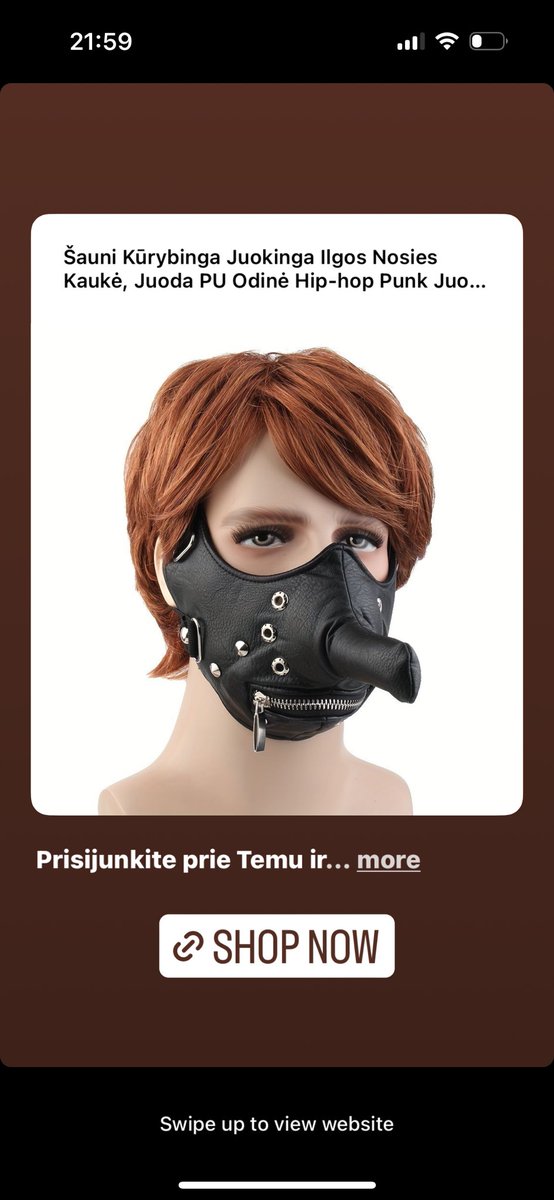 🩷🐴🪩 tweet media