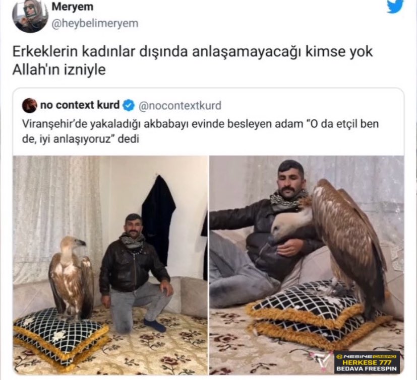 Erkeklerin kadınlar dışında anlaşamayacağı canlı yok jsjdhsja