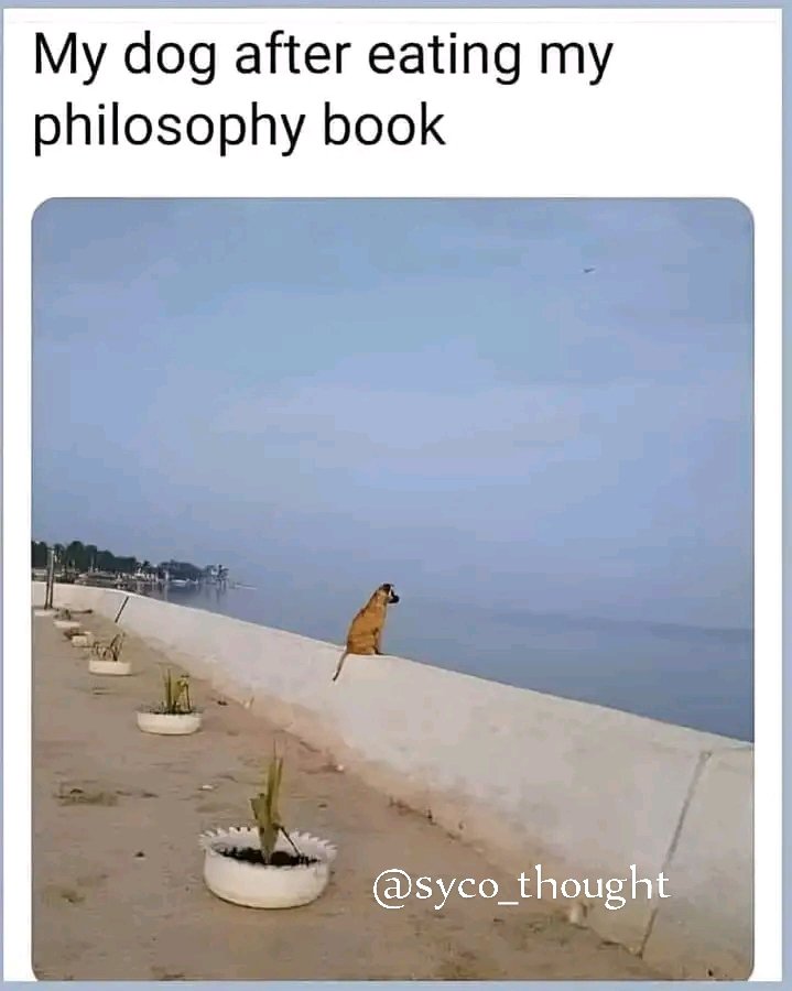 #DailyShow
#meme 
#funny
#newpost
#SuperBowl
#ticketek #TrendingNow #PakistanElections2024 #Palestine #pti #ImranKhanPTI <a href="/syco_thought/">Naeem Akhtar</a>