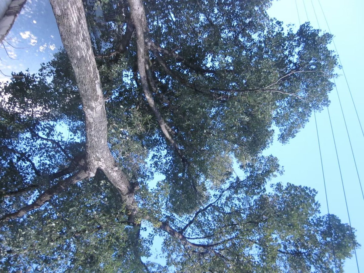 福利姬粥粥分享的黄推图片4 - 网红私拍内容