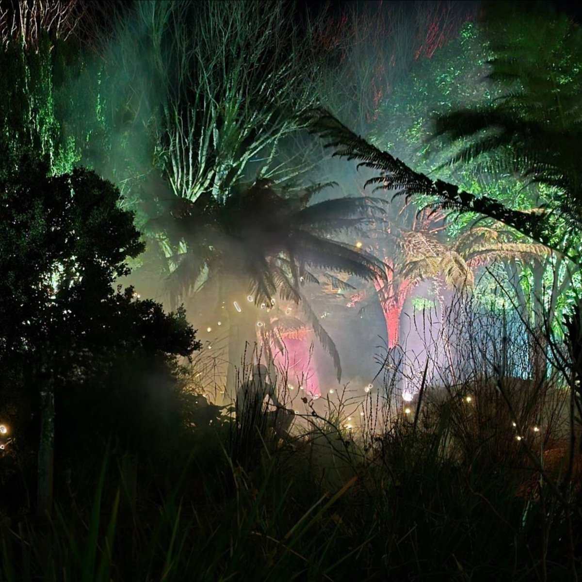 We've loved seeing your photos of the Dreaming Tree Illuminations so far!

The Dreaming Trees event continues until the 17 Feb, free to attend, no tickets required.

A special ticketed event for neurodiverse islanders on Sunday 18 February.

Find out more: gov.je/DreamingTrees