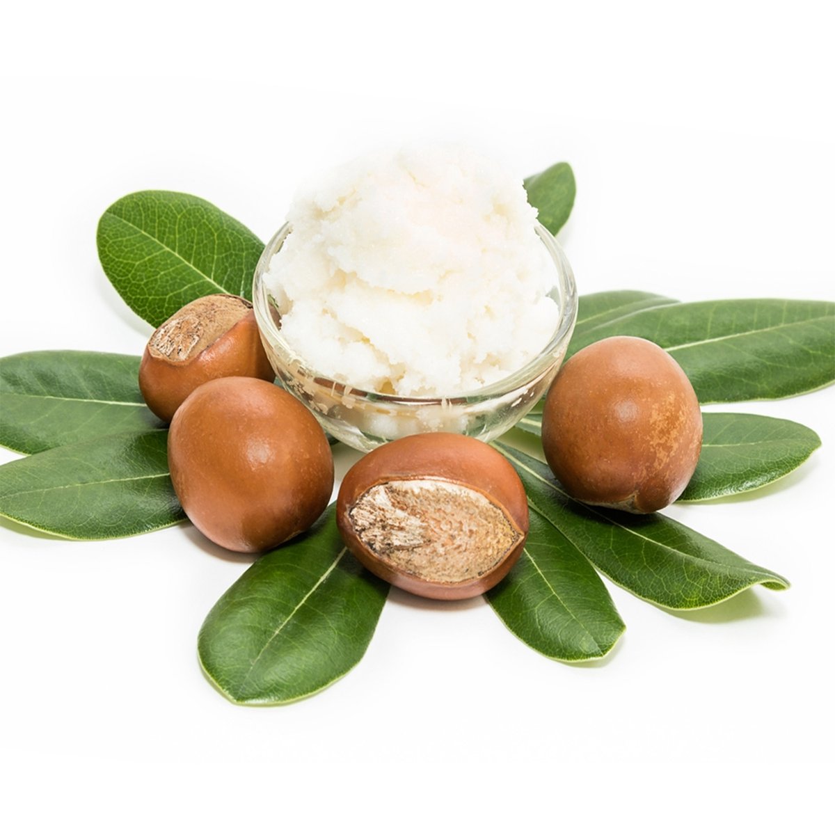 EcomAos's tweet photo. #AOS Products 100% Pure Natural | Shea Butter | Organic | Raw | Refined | African | Good For Dry Skin Lubricating, Hands, Face, Body Moisturizering | 100 GMS
#shea butter, #sheabutter, #bodymassage  #moisturizering, #pure  natural, #refined butter https://t.co/2Bm7QQyXu0