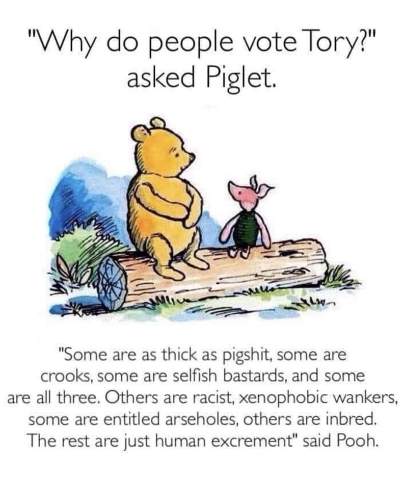 I'm with Pooh
#ToriesOut586 #SunakOut476 #GeneralElectionNow #Sunackered #UnitedAgainstTheTories #Starmer4PM