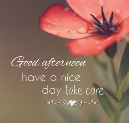 #goodafternoon 
#afternoondelight 
Good AfterNoon to All of You